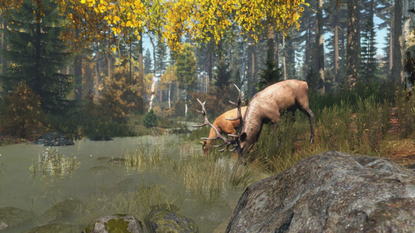 Hunting animals in DayZ