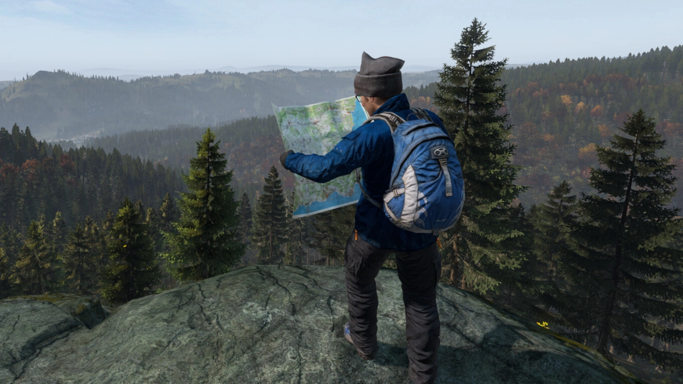 Locating animals in DayZ