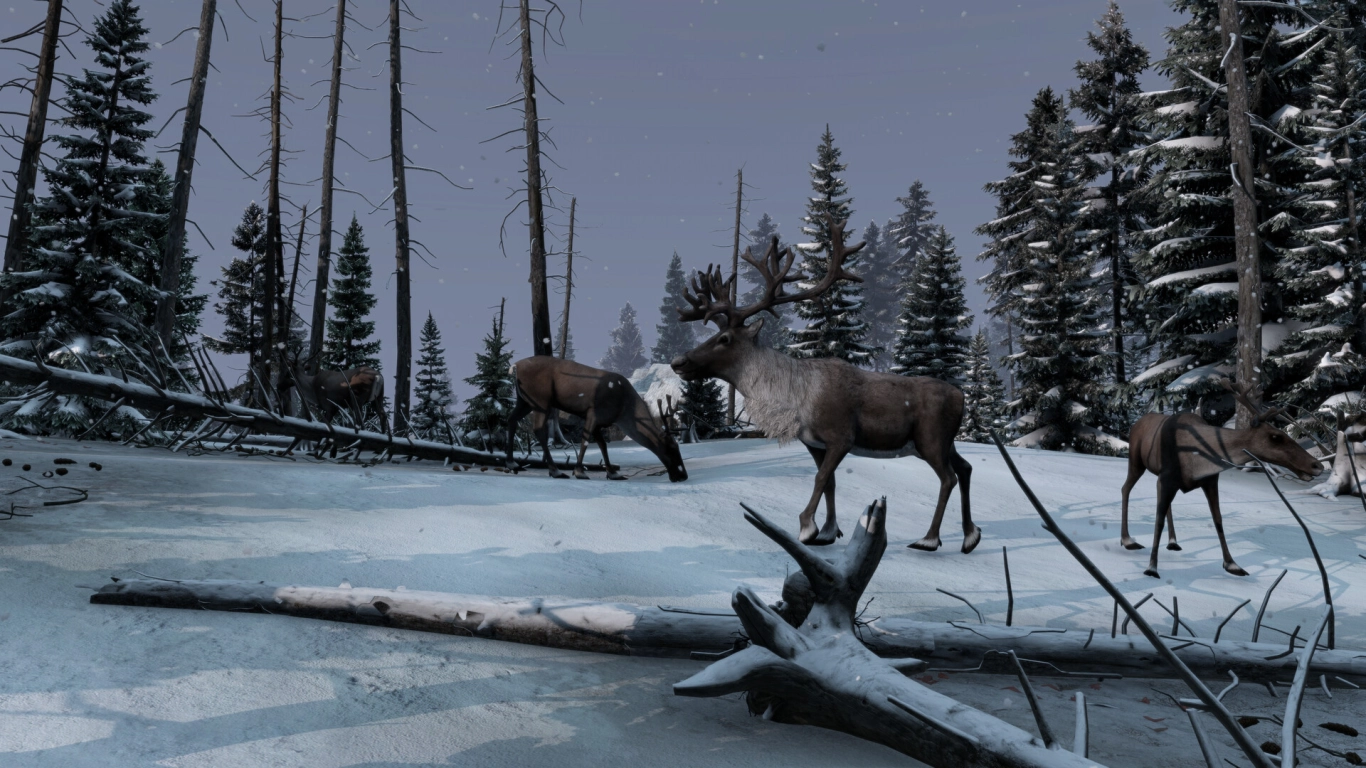 Wildlife and Hunting on Sakhal