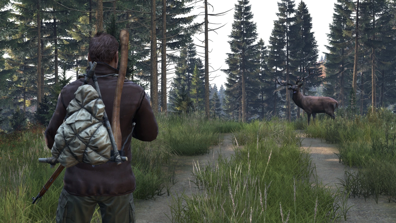 Healing methods in DayZ