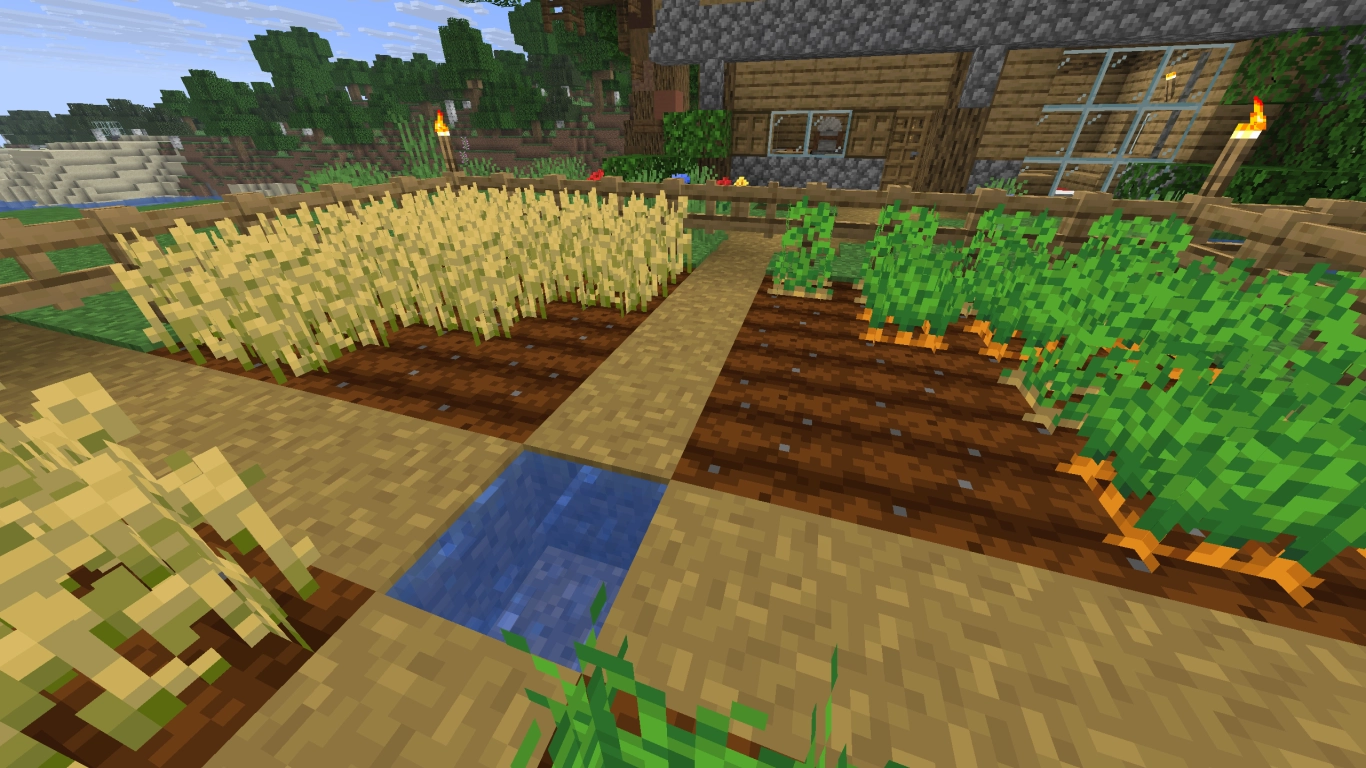 Minecraft crops: wheat, potatoes, carrots, and beetroot in a field