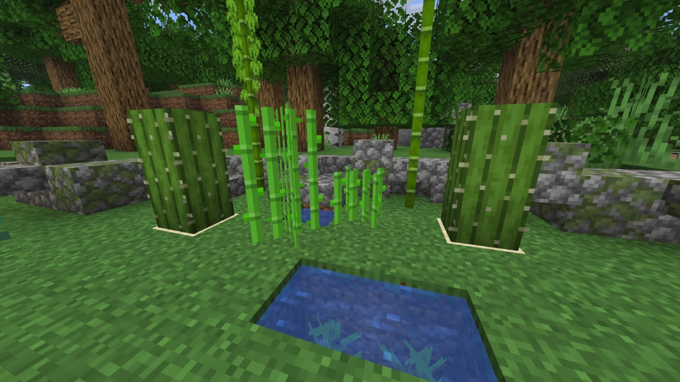 Farming sugar cane, bamboo, cactus, and kelp in Minecraft
