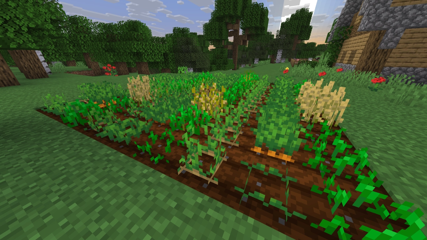 Minecraft farming tip: Make crops grow faster by planting in rows without bone meal